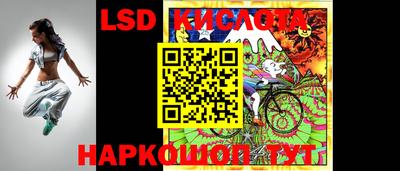 дмт Камышлов