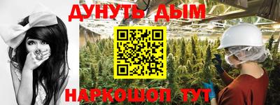 Альфа ПВП Канаш