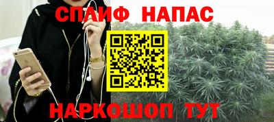 Альфа ПВП Канаш