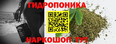 дмт Камышлов