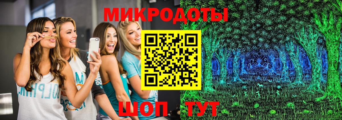 Псилоцибиновые грибы Psilocybe Миасс